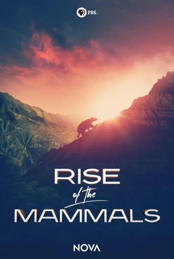 Rise of the Mammals Poster